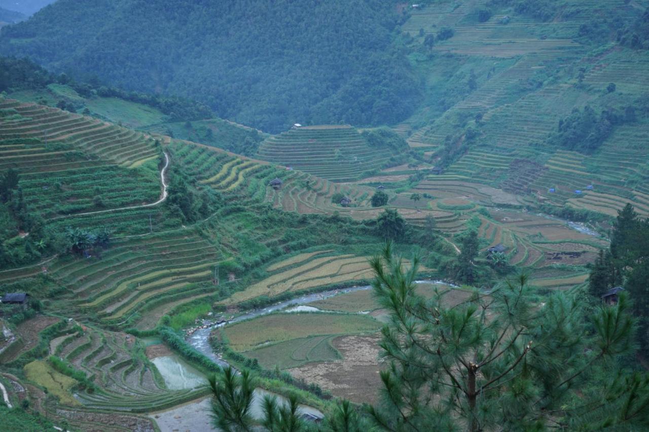 Hello Mu Cang Chai Homestay Bagian luar foto