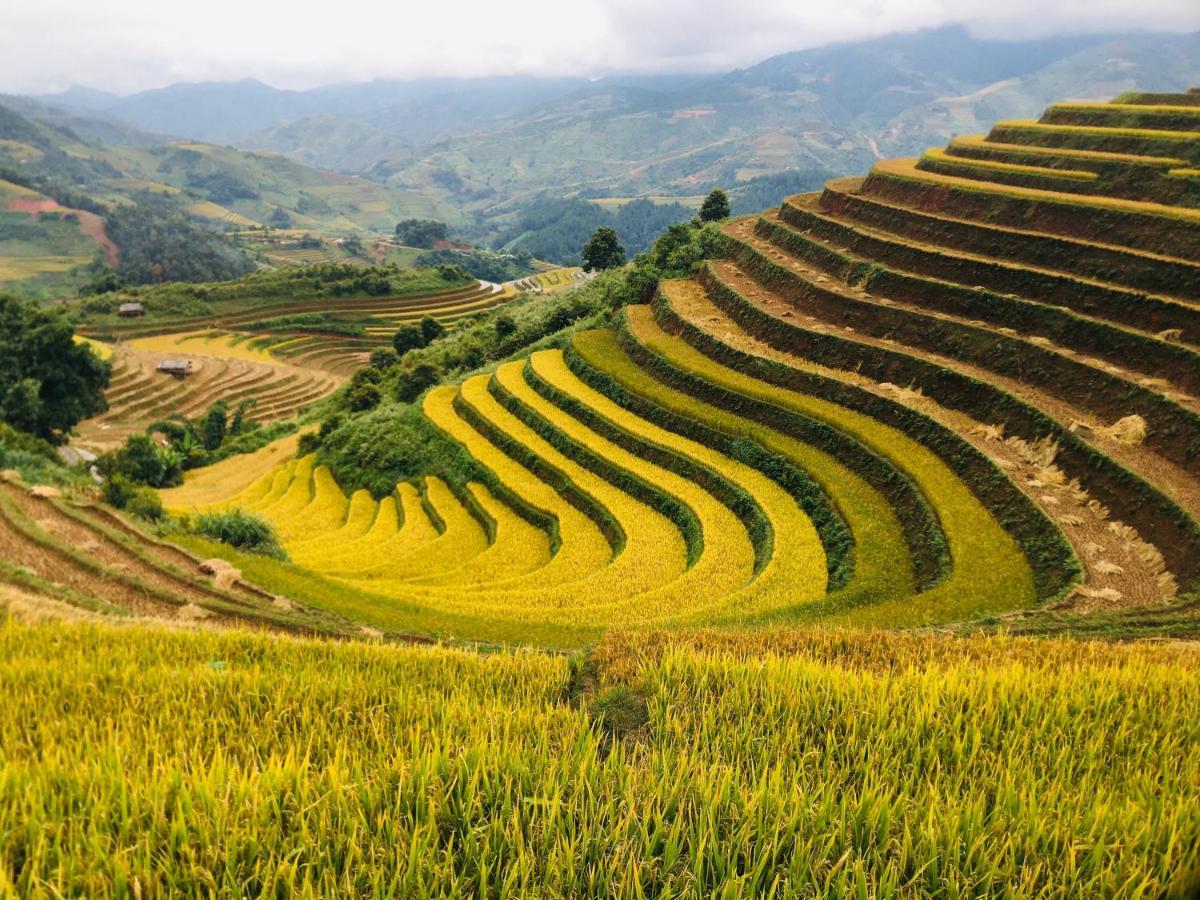 Hello Mu Cang Chai Homestay Bagian luar foto