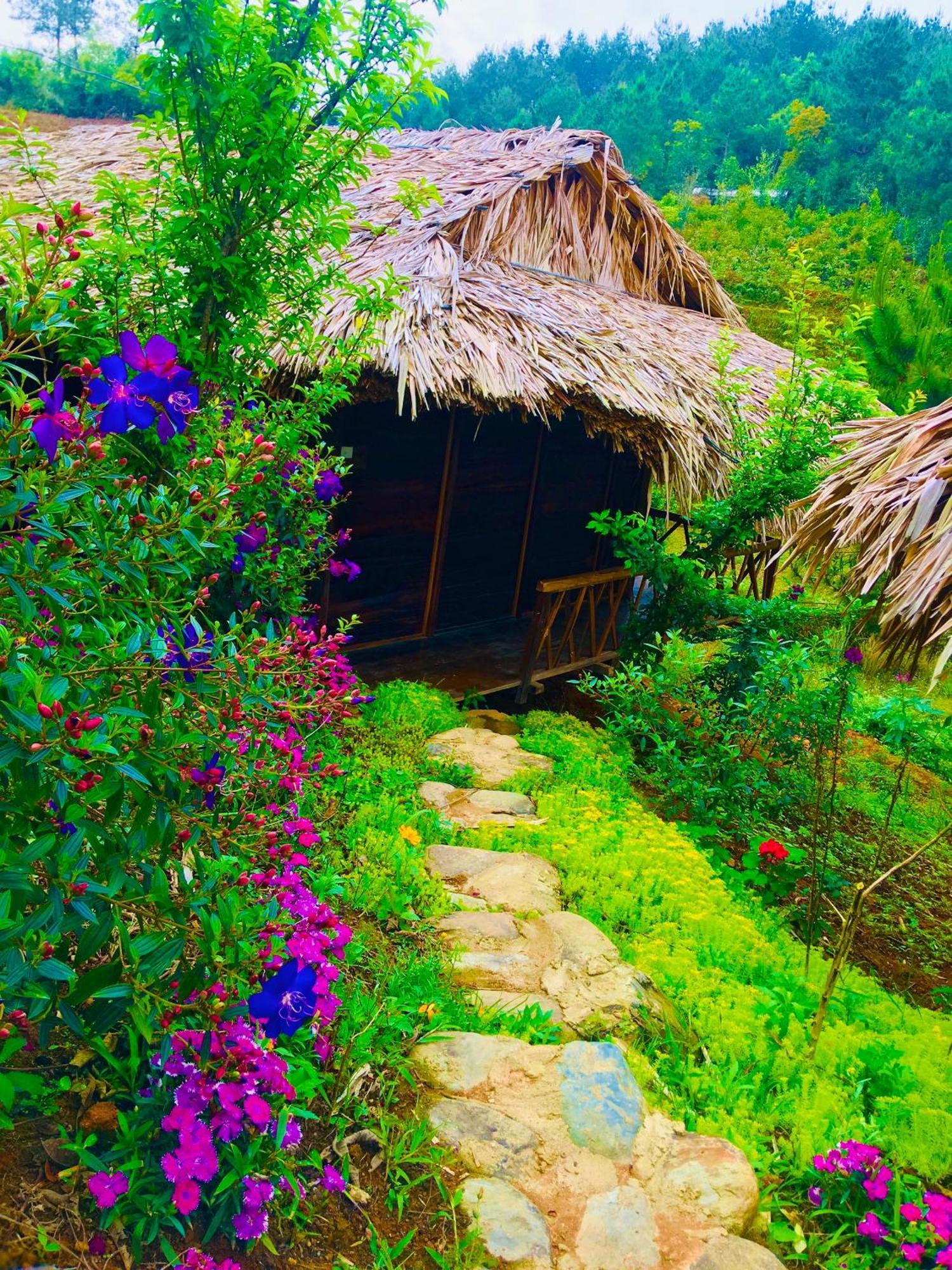 Hello Mu Cang Chai Homestay Bagian luar foto