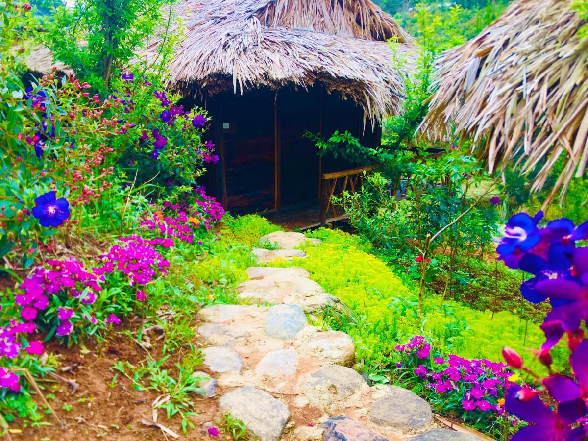Hello Mu Cang Chai Homestay & Tours Bagian luar foto