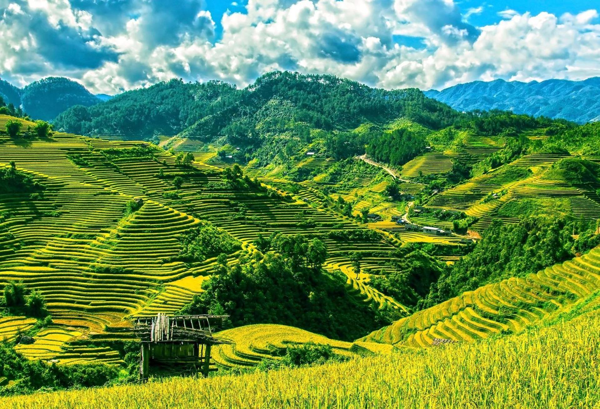 Hello Mu Cang Chai Homestay Bagian luar foto