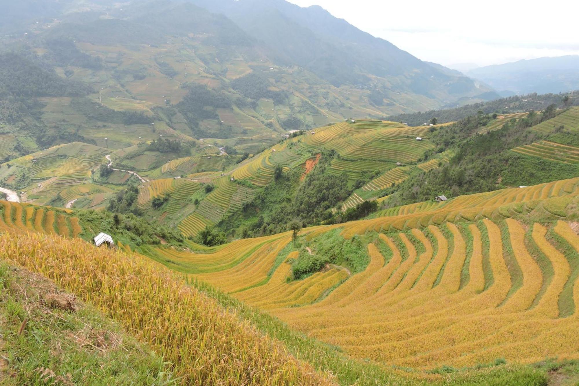 Hello Mu Cang Chai Homestay Ruang foto