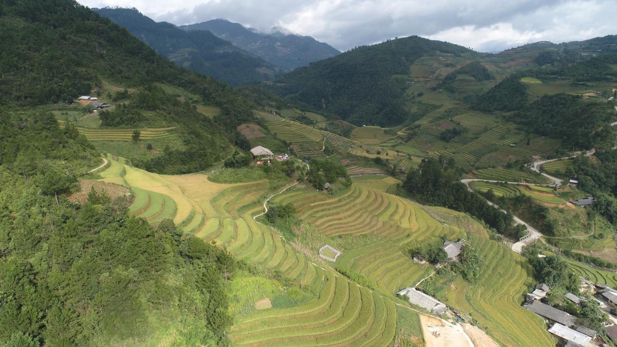 Hello Mu Cang Chai Homestay Bagian luar foto