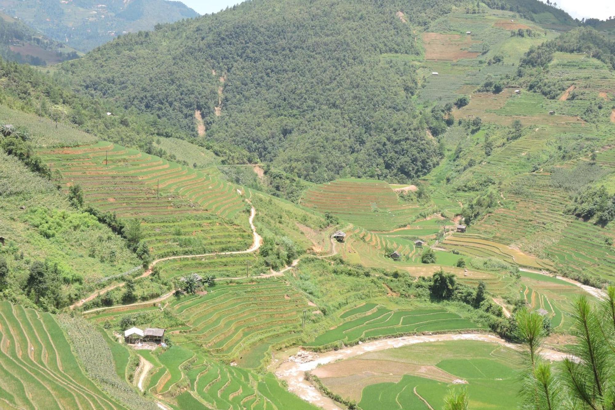 Hello Mu Cang Chai Homestay Bagian luar foto