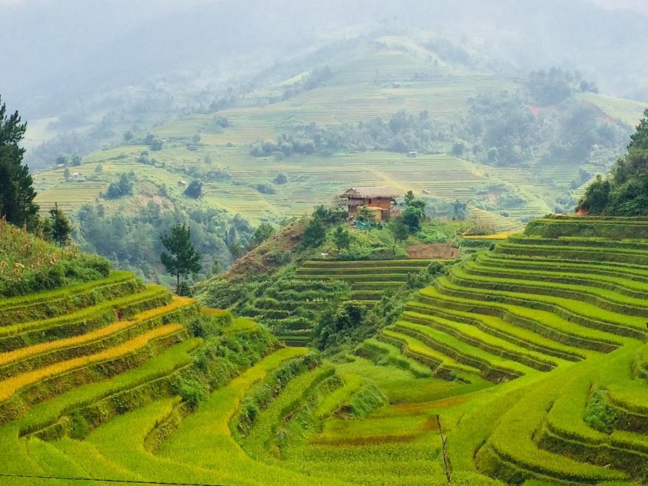 Hello Mu Cang Chai Homestay Bagian luar foto