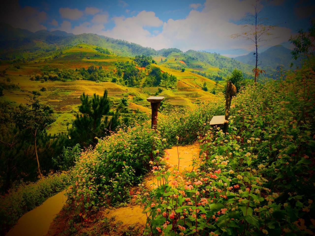 Hello Mu Cang Chai Homestay Bagian luar foto